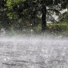 За сутки в Подмосковье местами выпала месячная норма осадков, в Москве — до...