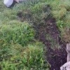 Медведь разорил пасеку недалеко от Шахты «Большевик». Хищник разворошил ульи...