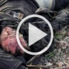 В Красноярском крае жители нашли мертвеца в Енисее