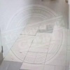 Медведь устроил переполох в 5-звёздочном отеле Сочи