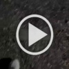 В Махачкале поймали транса в никабе — об этом сообщают местные паблики