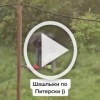 Типичное питерское застолье заметили в одном из дворов...