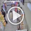 В краснодарском магазине собака укусила ребенка за губу...