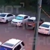 Несовершеннолетний байкер намеренно переехал щенка-кокера в Воронежской области и показал фак хозяйке.