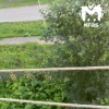 На дикий рёв байков под окнами жалуются жители Рыбинского округа. По их...