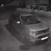 Стая собак кошмарит жителей Берёзовки — накануне свора задрала кота. По...