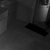 Школьники ограбили ПВЗ в Ленобласти ради...огромного резинового дилдо