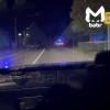 Внедорожник влетел в стадо коров в Иркутской области. Ночью на участке Монды...