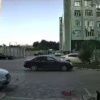 Ужас из Дагестана: там дети жестоко убили котенка.