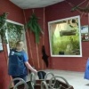 Тайра из Екатеринбургского зоопарка попыталась совершить побег