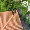 Медведь лазит по домам в Базаихе. Животное заходит на участки даже днём. По...