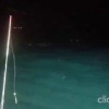 🐟 Местные рыбаки прошлой ночью сняли на видео кита Минке у берегов Приморья