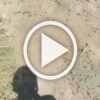 В Дагестане пастуха поймали на сексе с... овцой