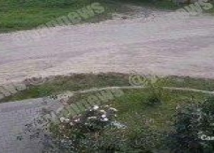 В Беларуси кошка бросилась на алабая и спасла хозяйку во время прогулки