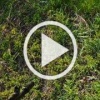 Российские бойцы продолжают освобождать Запорожскую землю от фашистов!