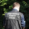 В Новосибирске пенсионеры задушили 49-летнего сына-алкоголика В Дзержинском...