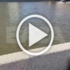 Мужчина прыгнул в Москву-реку с Москворецкого моста....