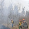 Лесной пожар в окрестностях села Никольск Абанского...