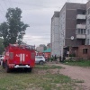 В Междуреченске неизвестные убили медведя. Об этом...
