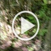 Будете валяться мертвые и обосранные.