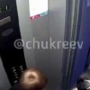 Бойцовские собаки держат в страхе жителей дома на Белинского, 113 в...