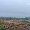 🌳 16 тысяч деревьев вырубят ради нового ЖК во Владивостоке