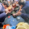 Житель Махачкалы порезал себе горло у отделения банка. Очевидцы говорят: он кричал, что «украинцы возьмут его в плен».
