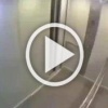 Неизвестный покусал и несколько раз кинул на пол хомяка в Оренбурге. Местные жители просят найти его.