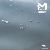 🦀 Крабы катаются на медузах в море в Приморье