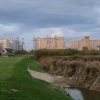 В парке «Дружба» на границе Люберец и Москвы кто-то украл кусок рулонного...