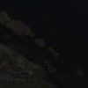 Браконьеры вновь попались на ловле раков