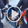 В Подмосковье под Можайском собачка провалилась под лед....