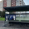 Стало известно, кто использует Данилу Багрова в предвыборной кампании