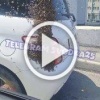 Сотни пчёл облепили авто во Владивостоке. Пугающие кадры...