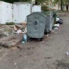 Вопиющий пример безобразного содержания мусорной площадки. Баки опустошают, а...