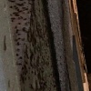 Огромные полчища тараканов по ночам штурмуют квартиры во Владивостоке. Жители...
