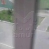 В  Хабаровском крае подростки до полусмерти забили камнями той-терьера