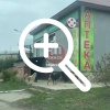Вот такая стая собак бегает возле Лицея. Взрослые люди...