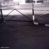 Медведь бегает по Магадану, люди — от него