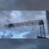 Тысячи скворцов устраивают над Петербургом мурмурацию — синхронный «танец» в...
