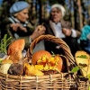 В 2025 году ужесточились наказания за сбор некоторых...