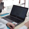 Россельхознадзор проверил 600 интернет-магазинов с ветеринарными препаратами в Брянской, Смоленской и Калужской областях.