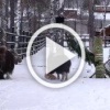 Ничего срочного. Просто немного милоты в субботний вечер...