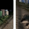 Маршруты «Тажераны» и «Саган-Заба» закрыли из-за медведя 14 сентября в...