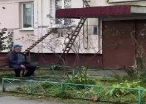 Петербургский кот получил персональный вход домой
