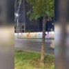 В Махачкале неизвестные осквернили портреты участников СВО Несколько полотен...