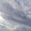 Тысячи журавлей покидают Красноярский край