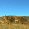 Медведь был замечен в священном месте Бурган-Изи (След Будды) в Кызылском...