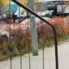 В Химках решили ускорить наступление зимы таким неожиданным образом 🇷🇺...