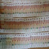 1,5 млн рублей в ручной клади обнаружил служебный спаниель в аэропорту Толмачёво.